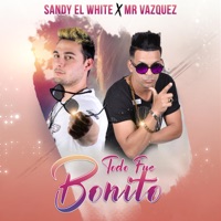 Todo Fue Bonito (feat. Mr Vazquez) - Single - Sandy el White