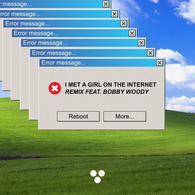 I Met a Girl on the Internet (feat. Bobby Woody) [Remix] - Single