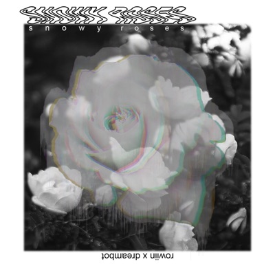 Snowy Roses - Single