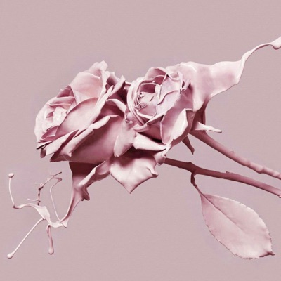Too Much Love - Single