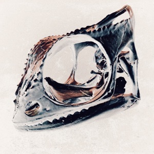 CHAMELEON - Remixes - Single