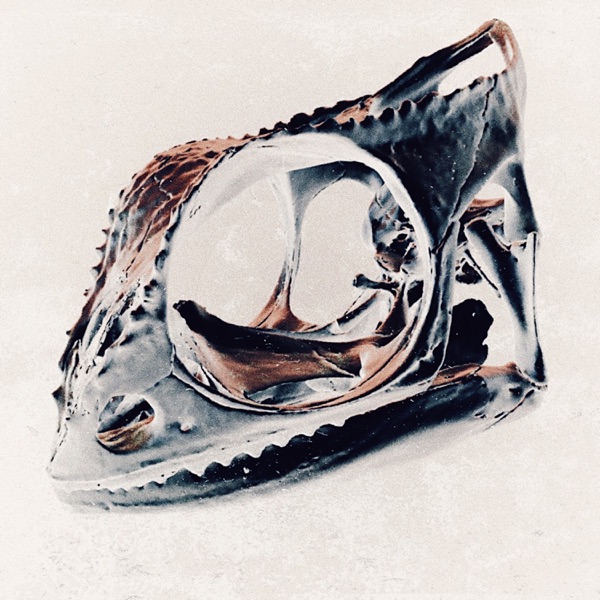CHAMELEON - Remixes - Single