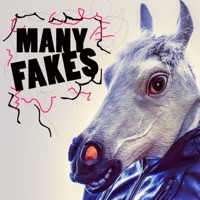 Many Fakes - Single - Dj Keal & Wachaby