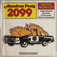 Thieves in the Cut (feat. Tragedy Khadafi, Novakane, Pro The Leader & Masta of Ceremoniez) - Single - American Poets 2099