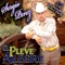 Corrido de Lino (Gerardo Vidaña) - Sergio Perez El Pleve Alegre lyrics