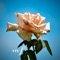 All for Me (feat. R3trØ Riq) - Mon Floral lyrics