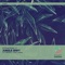 Jungle Shift (Ryan Z Remix) - Stradivalli lyrics