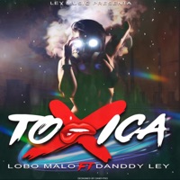 Toxica (feat. Danddy Ley) - Single - Lobo Malo