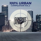 100% Urban Compilation, Vol. 2 artwork