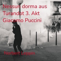 Turandot: Act III: Nessun dorma - Single - Norbert Leppin