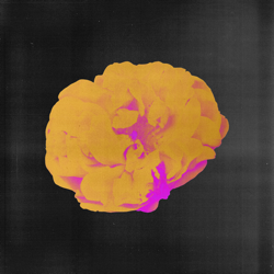 Drama - Temudo Cover Art