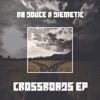 Crossroads (feat. Diemetic) - Single