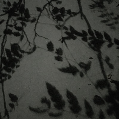 Banyan (feat. Megz) - Single