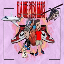 Ela Me Pede Mais (feat. VL) Mc Dumã