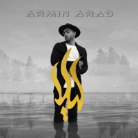 Leyla - Single - Armin Arad