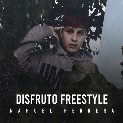 Disfruto Freestyle - Single