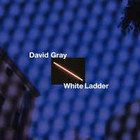 David Gray - White Ladder (20th Anniversary Edition) artwork