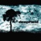 Into the Flood - Deepfield lyrics