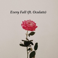 Every Fall (feat. Oculate) - Single - Colliding Galaxies