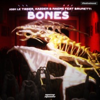 Bones (feat. Brunetti) - Single - Josh Le Tissier, Kazden & Naems