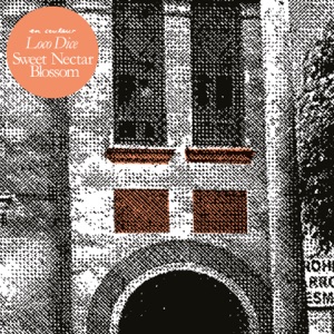 Sweet Nectar Blossom - Single