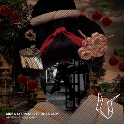 Anything You Want - Single