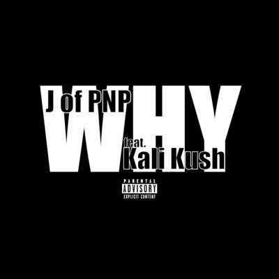 WHY (feat. Kali Kush) - Single