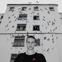 Птицы - Single - Глеб Калюжный