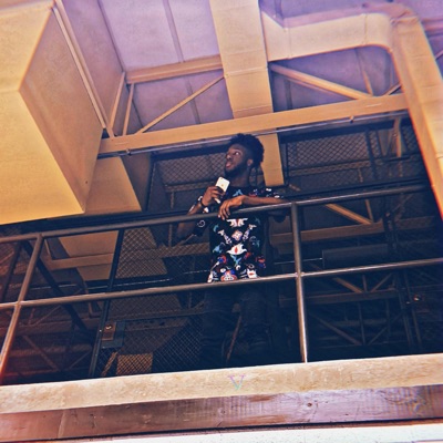 W.O.P. (feat. Gotti) - Single
