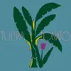 Tulipa Ruiz - Gravidade Zero