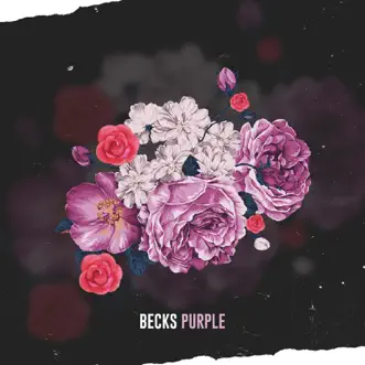 Purple - Single by Becks album reviews, ratings, credits