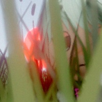 0josroj0s:( - Single - C. Veraque