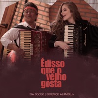 É Disso Que o Velho Gosta (feat. Berenice Azambuja) - Single - Bia Socek