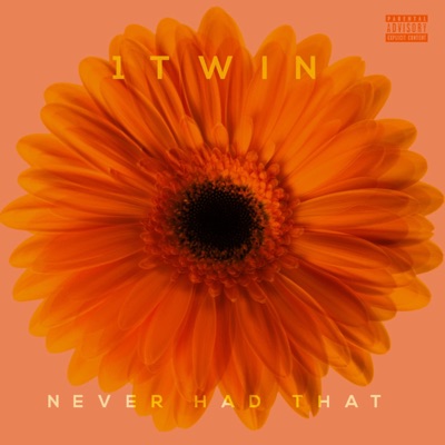Never Had That - Single