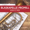 Blaskapelle ProMill - Palikovská Polka