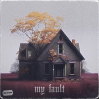 my fault (feat. Vito) - Single - Into Misery