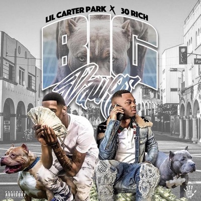 Big Dawgs (feat. 30 Rich) - Single