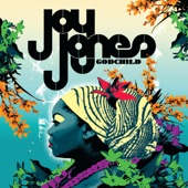 Joy Jones - Glass Boxes