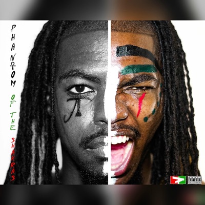 Phantom of the Shakras