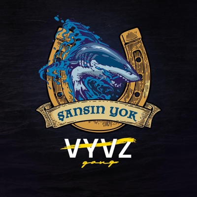 Şansın Yok - Single