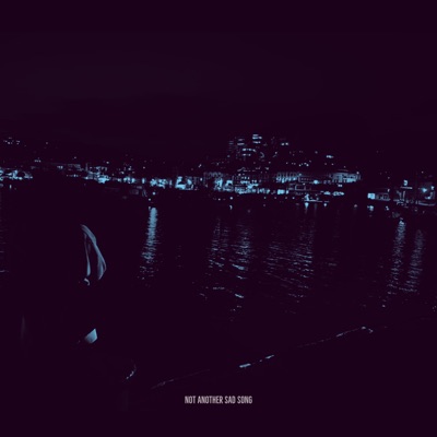 Not Another Sad Song - Single