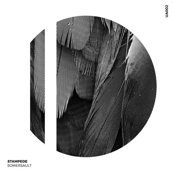 Stampede - Single