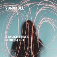 2 Much (feat. Shaq$ter) - Single - YungBull