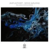 Grass Walking (Karmon Remix) artwork