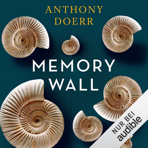 Memory Wall cover