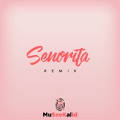 Senorita (Remix) artwork