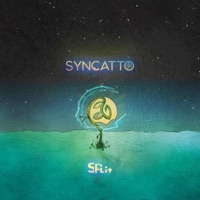 Split - Single - Syncatto