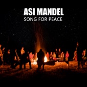 Song For Peace artwork