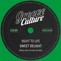 Sweet Delight (Micky More & Andy Tee Extended Mix) — Right to Life