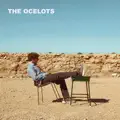 Colours In The Dark